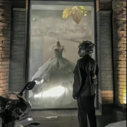 林花谢了春红 太匆匆