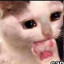 rexso avatar