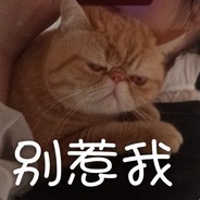 天胡倒立吃屎三斤
