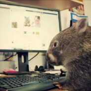 Wombat Gaming