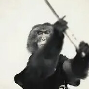 Monkey Man