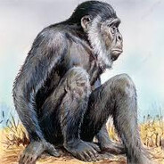 Sivapithecus