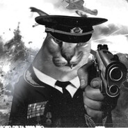 РЯДОВОЙ FLOPPA