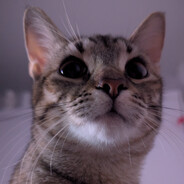 skar