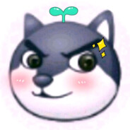 带派的东北雨姐