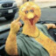 Big Bird