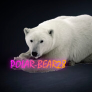 POLAR-BEAR28