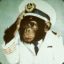 Captain Monkey