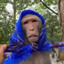 MOnKe