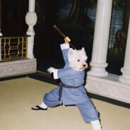 未曾拥有何谈失去