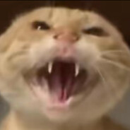 帝國の絕凶虎！圆头耄