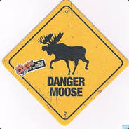 DangerMoose