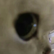 煎饼是一个雷霆彩笔