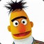 Bert