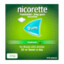 Nicorette 2 mg