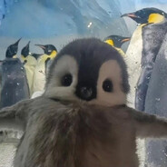 kar1on - steam id 76561198410471577