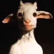 T0uch3r r3ct4l M0554D