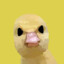 Quackles