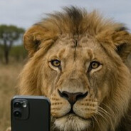 A lion never dies :) - steam id 76561197965756880