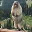 ScreamingMarmot