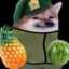 Fruitenent Colonel