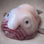 blob