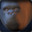 WillpowerAus ttv/yt