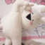 sorry全场