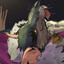 Avatar of Rat King's Giant Nuts
