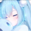 fslwrao2