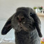 kacper