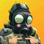 知不可乎骤得，托遗响