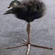 Sneal