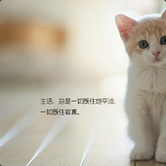 骗子全家灵车漂移