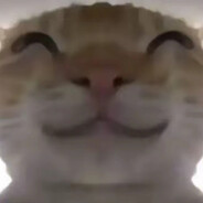 1.5星上将麦克阿Pig