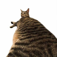 宇宙无敌牛波一