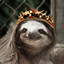the sloth king!!!