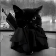 ϟ ᴄᴀʀɴᴀɢᴇᴋᴋ ϟ