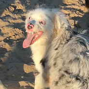 Район Госуслуг