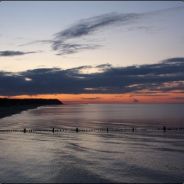 TCFreeK - steam id 76561197965455646