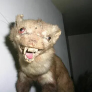 Дима Колбасенко