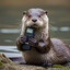 Taukalotter