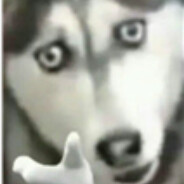 纽特不用动 妈妈全自动