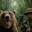 The Bear