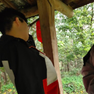 难道真的不遗憾