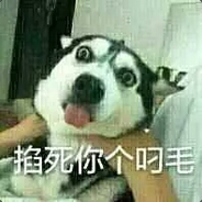 有点刷子但没毛