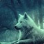 WinterWolf_PL