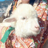 没人是你的白月光