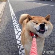 阳逻土特产代购