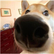 一天不打积阳德，两天不打积积阳阳德